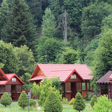 Sokolyne Gnizdo Inn *